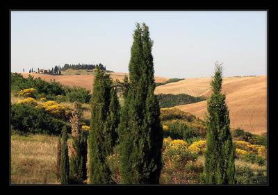 Tuscany 57.jpg
