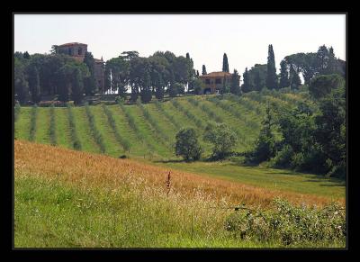 Tuscany 58.jpg