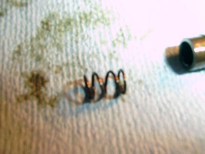 Lifter Spring - Culprit
