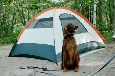 Maine, Salty Acres campground