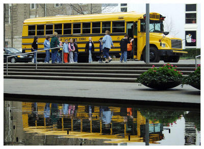 More Field Trips