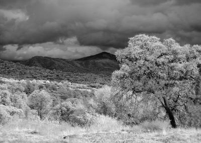 Approaching Storm.jpg