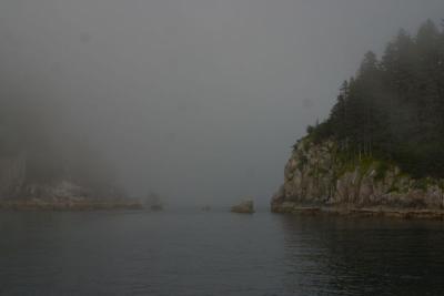 7477_scene near kenai glacier.jpg