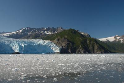 7481_kenai glacier scene2.jpg