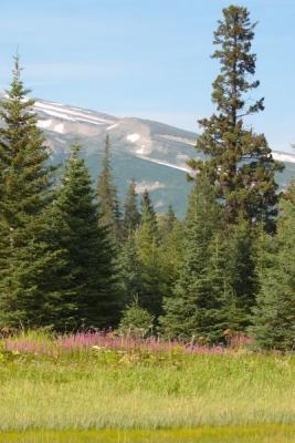7574_scene near silver salmon creek1.jpg