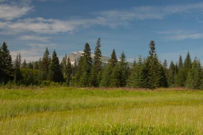 7575_scene near silver salmon creek2.jpg