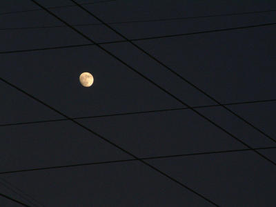 Moon and power lines