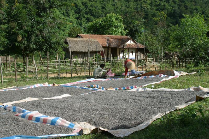 Around Kon Tum