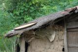 Around Kon Tum