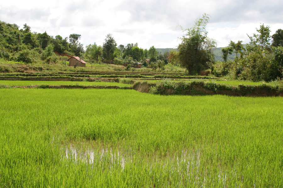 Around Kon Tum