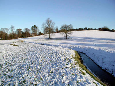 Winter on hillside