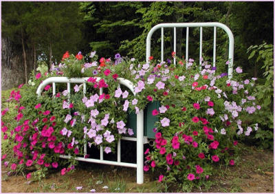 flower bed (literally lol)