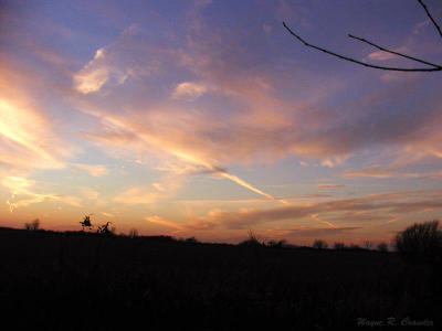 Dec clouds.jpg