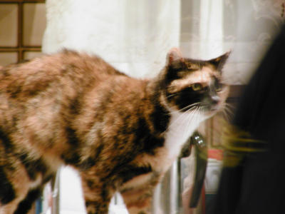 PC250074.JPG