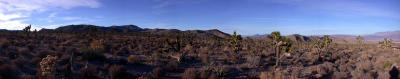High desert panorama