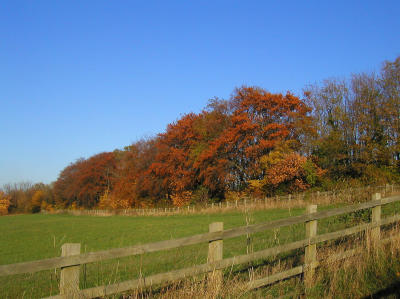 Capstone Park, Chatham Kent
