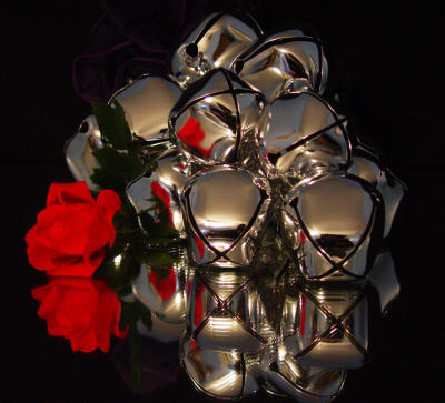 Silver Bells & The Last Rose