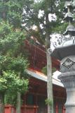 Gohoten-do and lantern on the on the Rinnoji Temple grounds, Nikko