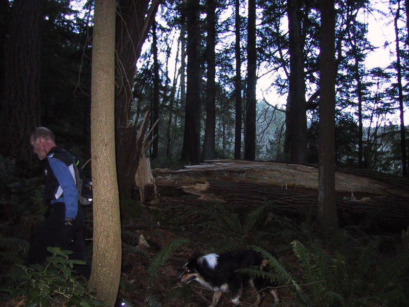 Big Tree, Keith & Rugby