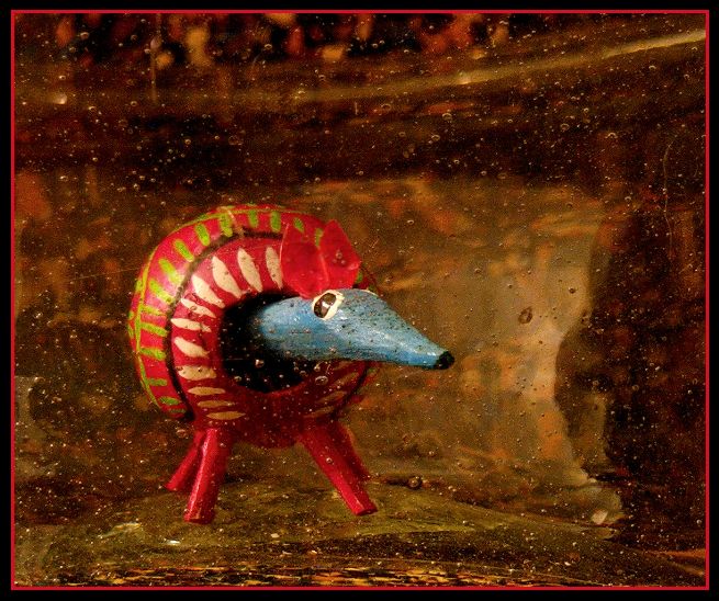Armadillo