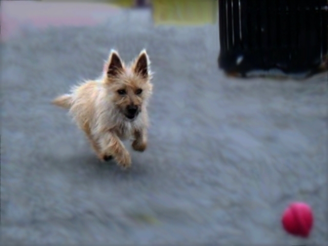 Fetching