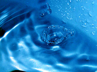 drop2.jpg
