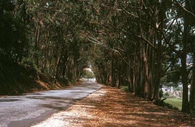 Road near Sintra, Portugal