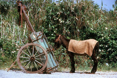 Portuguese roadside scene