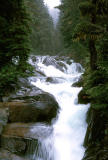 Rapids-Mt Rainier NP, WA - 1970