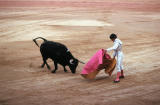 Bullfight at Plaza de Toros, Madrid, Spain