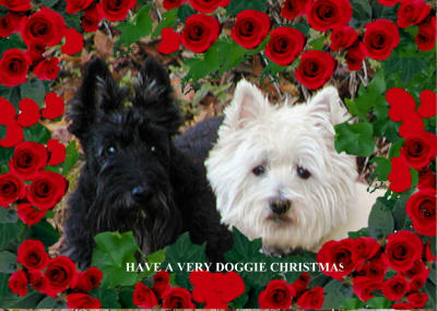 u4/julivalley/medium/769704.XMASDOGScard.jpg