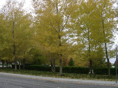12050019.JPG