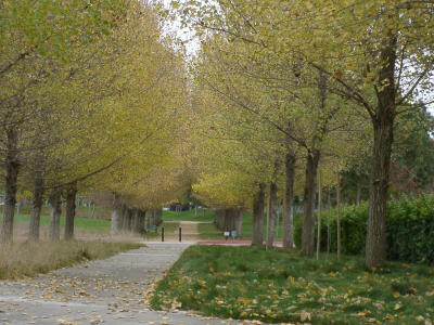 12050020.JPG