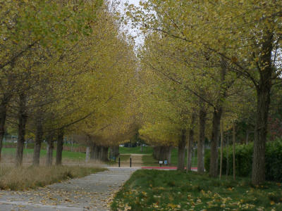 12050021.JPG