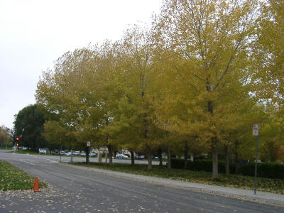 12050023.JPG