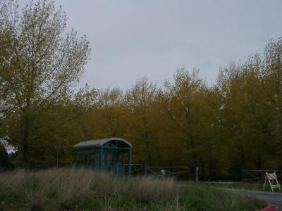12050027.JPG