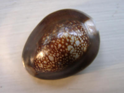 12050009.JPG