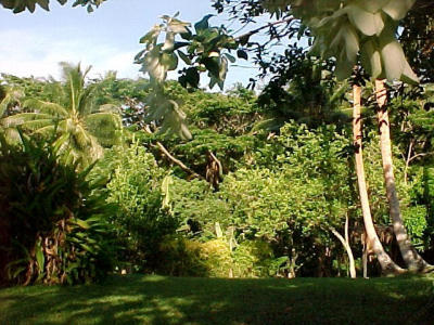 MVC-056F.JPG