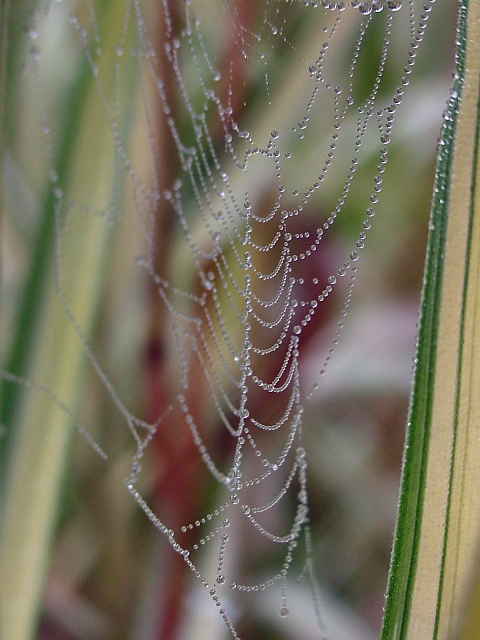 strings of diamonds