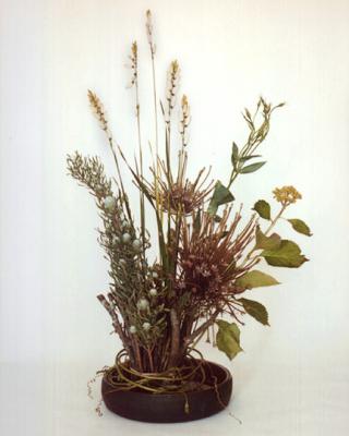 Bundle Allium