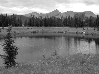 DSCN2080_edited_bw.jpg