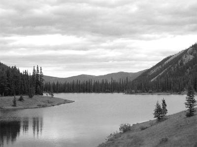 DSCN2093_bw.jpg