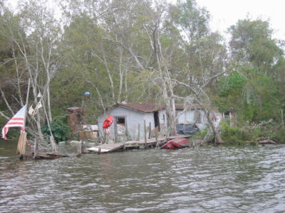 swamp tour: miss mary's neighbor