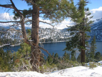 Tahoe - 12.21.01-12.26.01