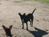 103-0354_IMG.JPG