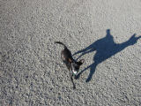100-0021_IMG.JPG