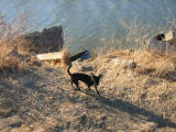 100-0023_IMG.JPG