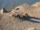 100-0024_IMG.JPG
