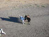 100-0029_IMG.JPG