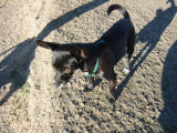 100-0033_IMG.JPG